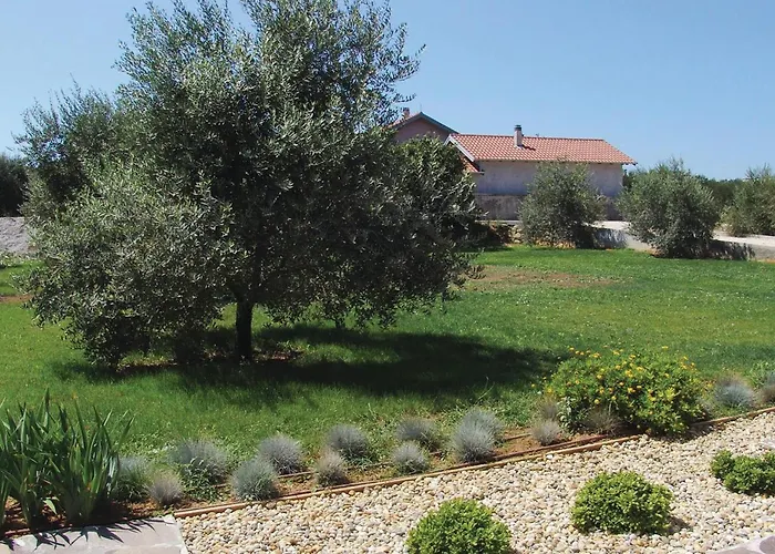 Апартаменты Tezacki Put Iv